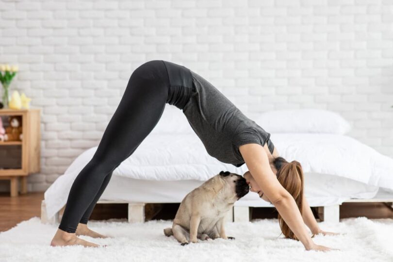 Downward Facing Dog