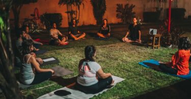 free chair yoga for seniors beginners